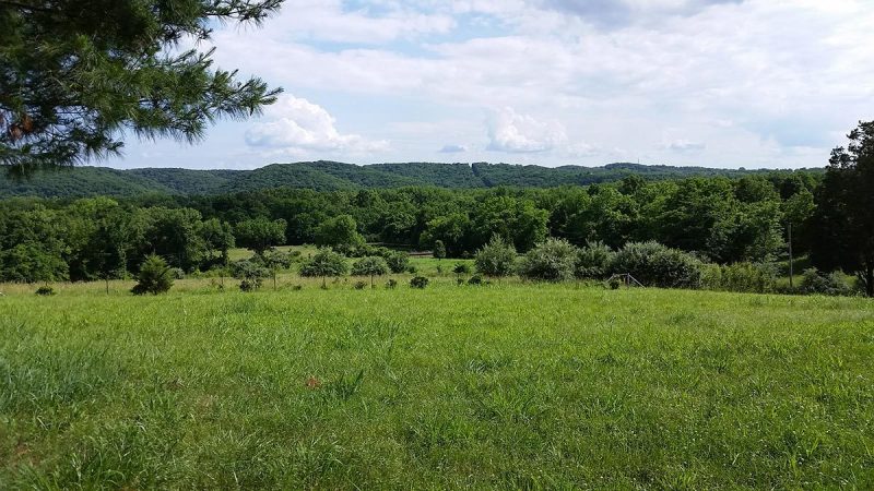 Belleview-Farm1