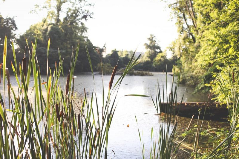 Dardenne-Greenway-BaratHaven-Park10